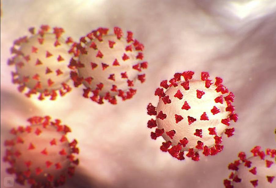 Сколько будет длиться пандемия коронавируса в России, мнение биолога